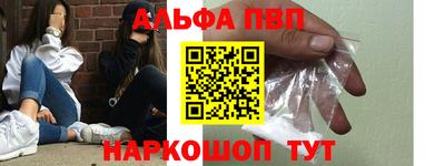 стаф Сланцы
