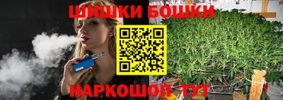 стаф Сланцы