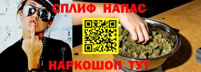 стаф Сланцы