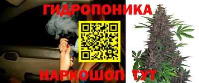 стаф Сланцы