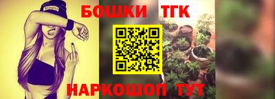 стаф Сланцы