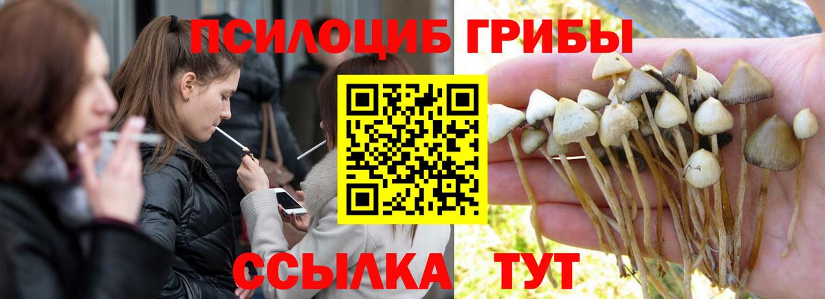 Псилоцибиновые грибы Psilocybe  где продают   Ростов Великий  Вход с VPN  Псилоцибиновые грибы MAGIC MUSHROOMS 